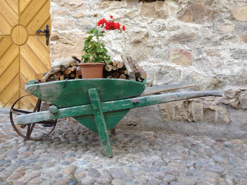 Bed and Breakfast Maso Franceschella à Carano  Extérieur photo
